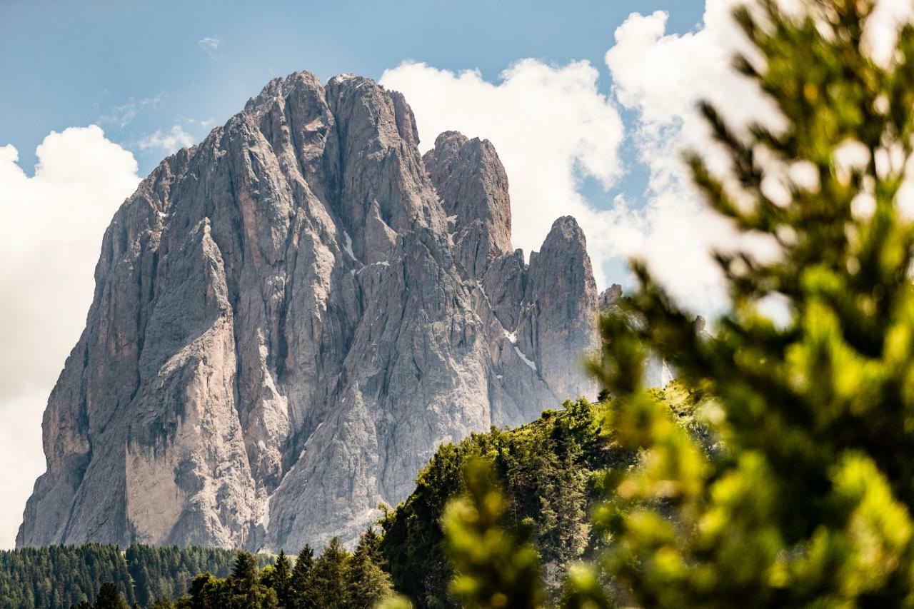 Appartamenti Hetty Santa Cristina Val Gardena Exterior photo